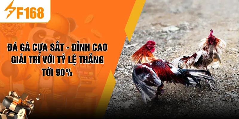 Đá Gà Cựa Sắt - Đỉnh Cao Giải Trí Với Tỷ Lệ Thắng Tới 90%